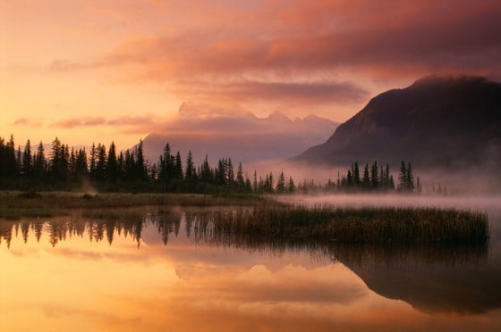 There's a host of evidence that the tall, humanlike creatures native to North America's northwestern forests known as Bigfoot or Sasquatch don't exist. Sightings, however, are still plentiful.